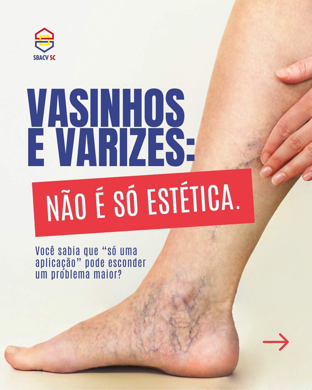 WhatsApp Image 2026 02 10 At 11.52.11